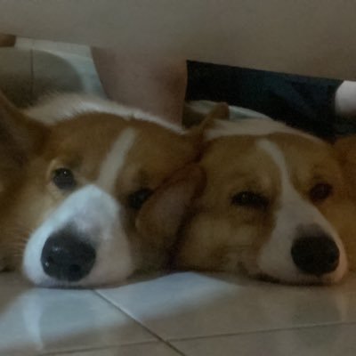 EricYeap1211's profile picture. Hello