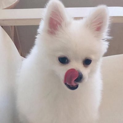 onetotloveme's profile picture. "Keep a unique melody in a noisy world."