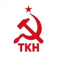 TKH(@komunisthareket) 's Twitter Profile Photo