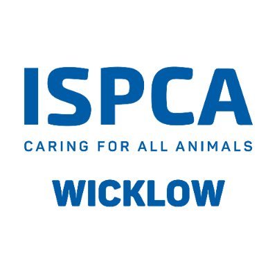 ISPCA Wicklow is an Irish non-profit dedicated to the protection and care of animals 🐾 Cruelty Hotline: 0404-44783 Please donate at: https://t.co/8snxZV1zq9