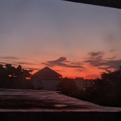 paulo_cuelho's profile picture. 