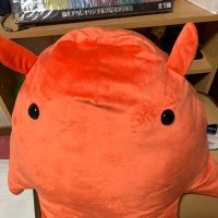 あんこ (@maodayomao) Twitter profile photo