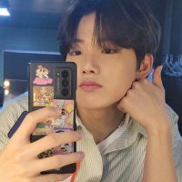𝚗𝚊𝚗 (@kyushinchan) 's Twitter Profile