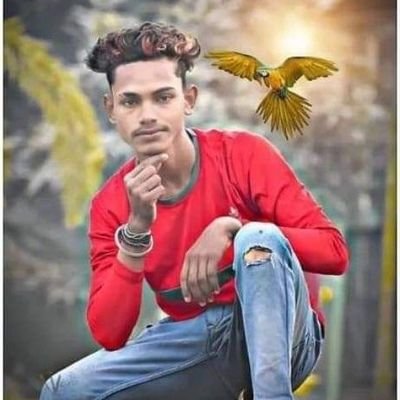 GopalAgrah96429's profile picture. 