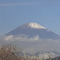 とまと長老 (@tomato11101110) 's Twitter Profile Photo