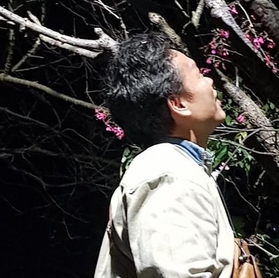 angnono's profile picture. 笨蛋問題不是在那