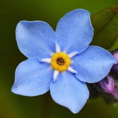 KarenPatrycja's profile picture. Patrycja Walczak - Fotografia 🦋📷💙