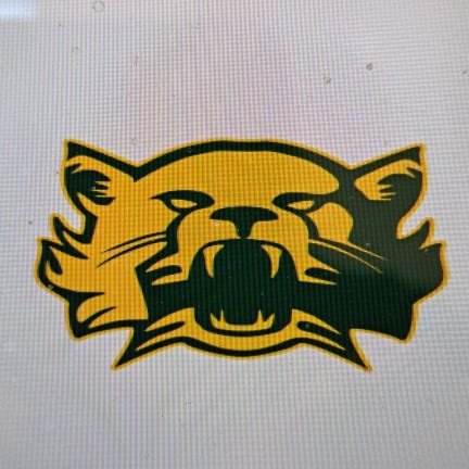 The home for Moody Bearcats Baseball. District 14-2A.