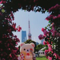 かながわマチコちゃん (@sou552164) 's Twitter Profile Photo かながわマチコちゃん (@sou552164) 's Twitter Profile Photo