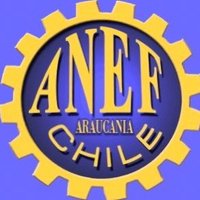 ANEF ARAUCANIA (@anefaraucania) 's Twitter Profile Photo