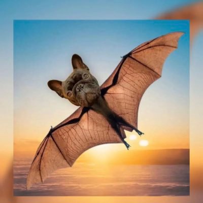 Geesama18863981's profile picture. 