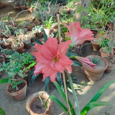 kh1irfan's profile picture. 