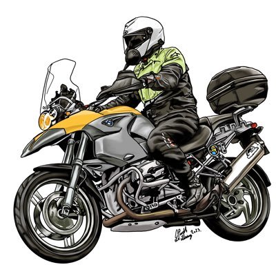 digital and traditional artist ,motorcycle instructor, yoga, dogs, computer & board games
