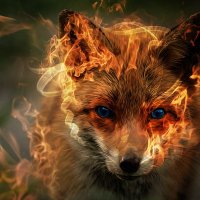 Piligrim_Fox (@litto_ral) 's Twitter Profile