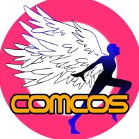 ComCos ver.3🪽11月17日開催‼️ (@comcos_comcom) 's Twitter Profile