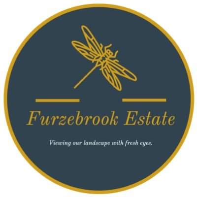 The Furzebrook Estate on the beautiful Isle of Purbeck home to The Blue Pool Nature Reserve & Tearooms.
