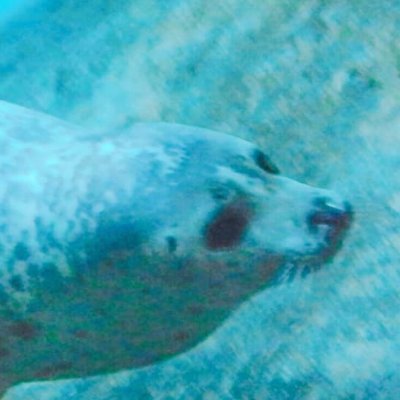MROD: 旧ほえい, λ, いだ,りG, ジャル•2, 東北大, ヨビノリ, スタバ,ガンダム, ピクミン, どう森, ゆるキャン, ゼルダ, ポケモン, ブルアカ, プロセカ, 夢ステ,夏目,nayuta,名取さな,muni•2, 畑芽育, ヨルシカ, オーイシマサヨシ