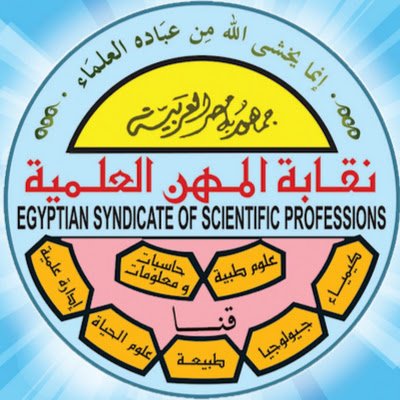 n_essp's profile picture. 