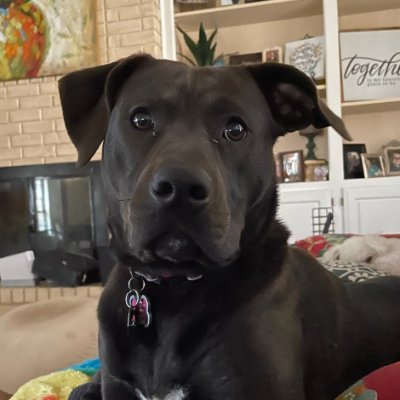 Rachelle1675's profile picture. 