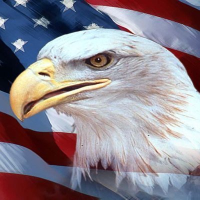 PatrickClay11's profile picture. Nationality:British

Language:English