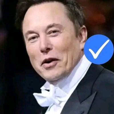 Tesla CEO and Twitter