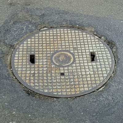 II_oxoxo_II's profile picture. 