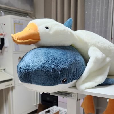 Lynnさんのプロフィール画像
