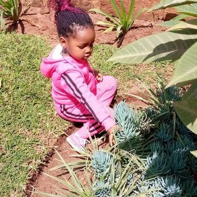 baraka_anne's profile picture. Self driven figure geared towards timely results