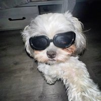 Zaox (@zaoxxxxxxxxx) 's Twitter Profile Photo Zaox (@zaoxxxxxxxxx) 's Twitter Profile Photo