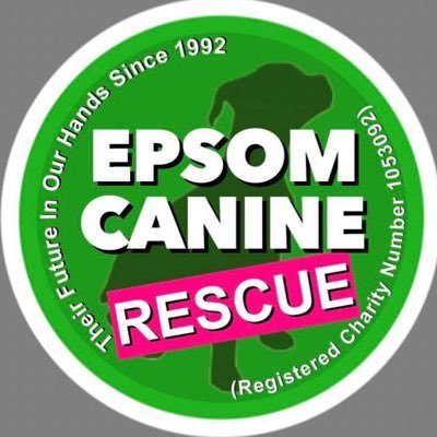 Epsom Canine Rescue 🐶