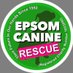 Epsom Canine Rescue 🐶 (@epsomcanine) Twitter profile photo