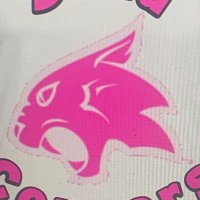 Cincy Sand Cougars(@SandCougars) 's Twitter Profile Photo