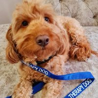 Special School HT (@specialschoolht) 's Twitter Profile Photo Special School HT (@specialschoolht) 's Twitter Profile Photo