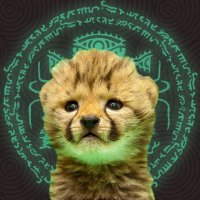ZAD-Man (Key Gunner is out now!) (@zadman) 's Twitter Profile