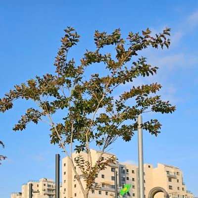 מצייץ להנאתי , מחובר בזמני הפנוי בלבד .