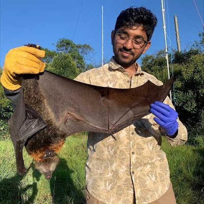 PhD Candidate at Western Sydney University working on flying fox urbanisation. 🦇

Urban ecology, Movement ecology, Behavioural ecology, 
Bioacoustics