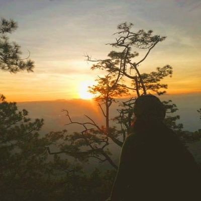 mardzx's profile picture. I'm a fucking rainbow colored softie at heart.





















Wall flower.