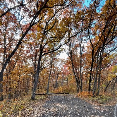 RoboKeo1188's profile picture. 