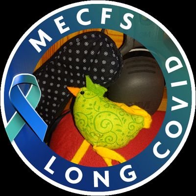 #LongCovid 04/21 #MECFS #POTS
I am a human being and against all odds I still am a PhD cand. in Geophysics and I will never ever let go neither of them. 💙