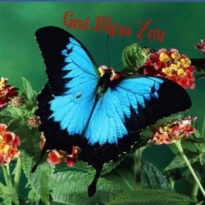 ♥️🦋Never ever let anyone/thing steal your Joy no matter what-You’re in Control of it Always! CLTN🦋♥️~God bless🙏🏼 CA$Dawn8459/VM@ Dawn8459 -#SJsCash2021 TY