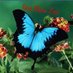 DawnLovesLife🌟 (@dawnloveslife1) Twitter profile photo DawnLovesLife🌟 (@dawnloveslife1) Twitter profile photo