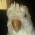 David Battle (@dmzbattle) Twitter profile photo