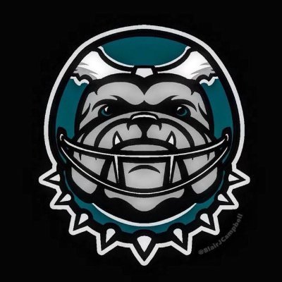 pandabirdz's profile picture. 