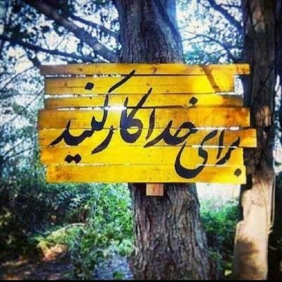 fghorbanyii's profile picture. مادر ومادر بزرگ 🍀💚
عاشق وطن 🌷🌷
بسیار  دوستدارخانواده😍