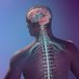 UNC Neurosurgery (@uncneurosurgery) Twitter profile photo UNC Neurosurgery (@uncneurosurgery) Twitter profile photo