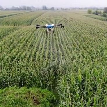 Venta de drones agrícolas QF de Chufangagri, láser para disuadir aves Agrilaser. Visítanos en https://t.co/0UgJrDMTYi o cotiza en proyectos@defendermex.com