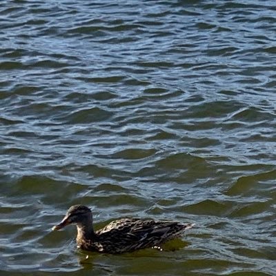 DanielPulda1's profile picture. 