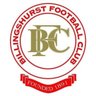 Billingshurstfc's profile picture. Billingshurst:
- Southern Combination: Football League Div 1 
- Reserves: West Sussex Premier 
- 3rds: West Sussex Div 1 North
- U18: SCFL U18 West