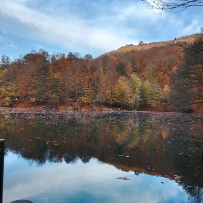 SadeceR4's profile picture. İ want to