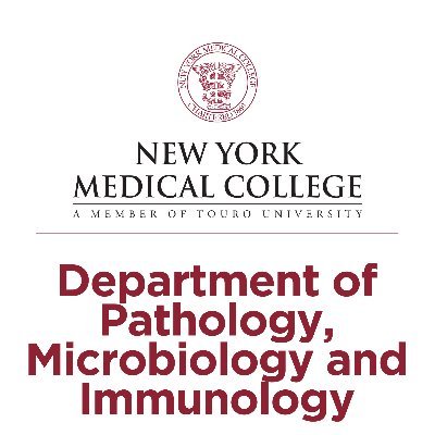 Offering masters & doctoral programs @nymc_gsbms, as well as overseeing PMI courses & residencies in anatomic/clinical pathology in #NYMCSOM. #NYMCPMI #PMIPride